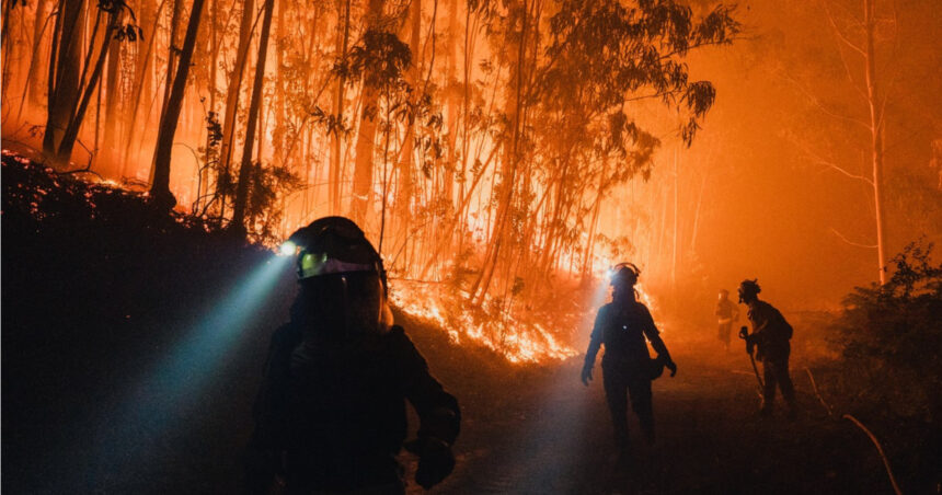 hatisul si padurile invadeaza satele cum contribuie abandonarea zonelor rurale la producerea incendiilor devastatoare din europa 68b6af1db5a1f