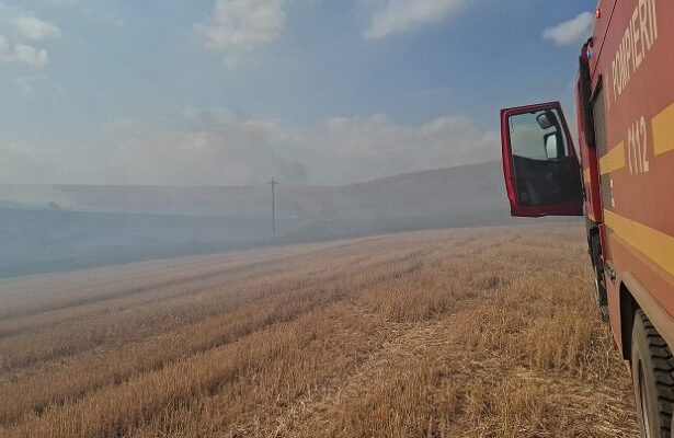 incendii de vegetatie uscata in agighiol si zona topolca sireasa din judetul tulcea 68c26f0d28608