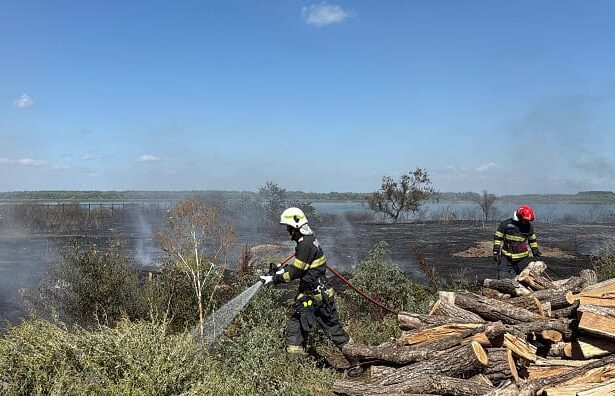incendiu de vegetatie uscata cu posibilitate de propagare la mai multe locuinte in murighiol 68b5b3f208f64