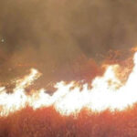 incendiu puternic de vegetatie in apropiere de ploiesti 80 de hectare au fost mistuite zeci de pompieri mobilizati 68bd083ce0f3f