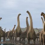 infectii osoase misterioase au decimat dinozaurii giganti din brazilia indica fosilele 68d93b487b8c2
