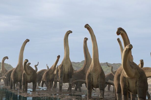 infectii osoase misterioase au decimat dinozaurii giganti din brazilia indica fosilele 68d93b487b8c2