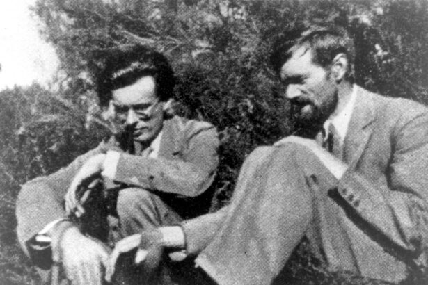 iubire scandal si libertate d h lawrence scriitorul care a schimbat sexualitatea in literatura 68b85af33d37a