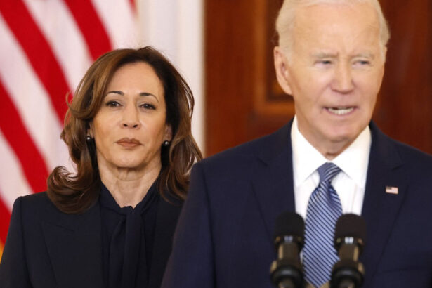 kamala harris declaratie surprinzatoare despre joe biden ce spune despre candidatura pentru al doilea mandat la casa alba 68c1bdeebfee9