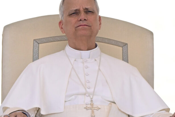 leon al xiv lea respinge planul pentru un suveran pontif ai daca cineva nu trebuie reprezentat de un avatar acela e clar papa 68cd9130e4785