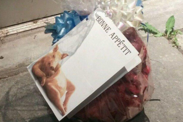 mai multe capete de porc au fost descoperite in fata unor moschei din paris autoritatile condamna actele abjecte 68c01f4982f92