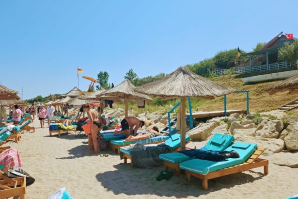 o firma cu activitate pe plaja tuzla sanctionata si inchisa de anpc s a adresat instantei pentru anularea sanctiunii 68d1db4f5cde6