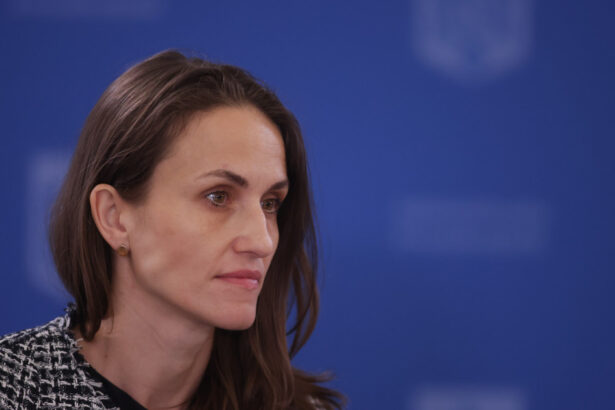 oana toiu la consiliul de securitate onu am condamnat incalcarile iresponsabile ale rusiei asupra spatiului aerian european 68d193d056c7a