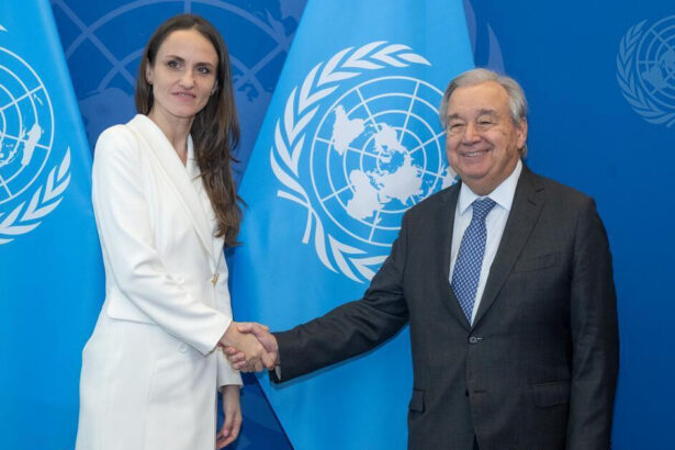 oana toiu s a intalnit cu secretarul general onu antonio guterres am avut o discutie consistenta 68d92bc7423d7