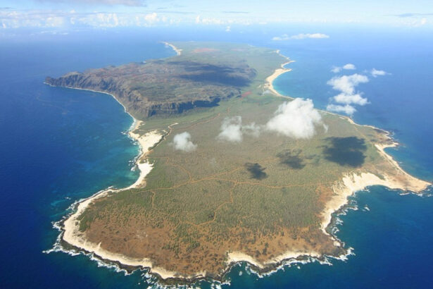 paradisul din hawaii unde locuitorii nu platesc chirie si primesc gratis carne cine are voie sa traiasca pe insula interzisa 68c65eaa54d01