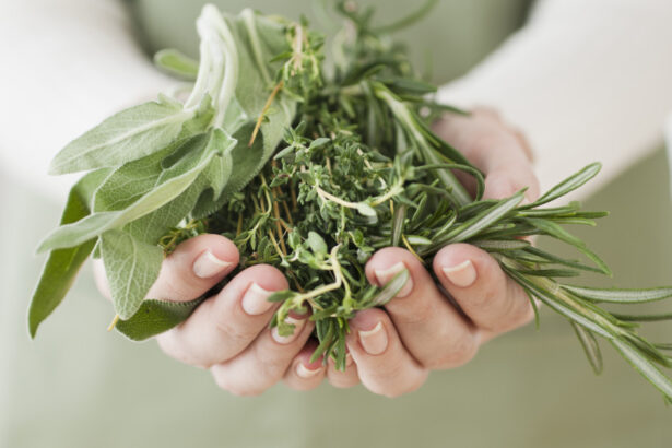 planta pe care medicii o recomanda pentru intarirea imunitatii ajuta la prevenirea racelilor de sezon 68cf84184deb9