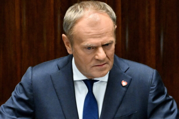 polonia expulzeaza un ucrainean care a directionat o drona deasupra cladirilor guvernamentale din varsovia 68cae38ce74e4