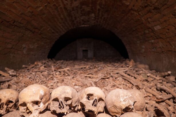 practicile funerare ale neanderthalienilor din peninsula iberica ii uimesc pe arheologi 68b5b1215906b