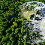 predictiile care au anticipat incalzirea globala mostenirea lui syukuro manabe 68c84202342b3