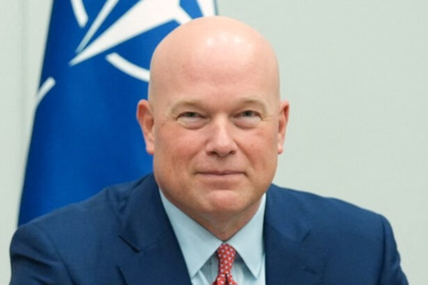 reactia ambasadorului sua la nato in cazul dronelor rusesti doborate de polonia 68c19e45ac9e7
