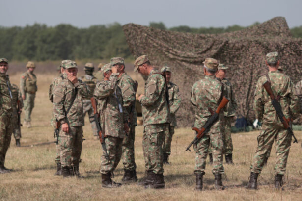 rezervistii armatei romane din doua judete convocati in cadrul unui exercitiu de mobilizare si antrenament anuntul mapn 68c28a13b5a71