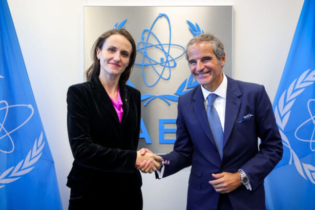 romania lobby pentru dezvoltarea energiei nucleare la conferinta aiea oana toiu si bogdan ivan parte a delegatiei de la viena 68caecb2ed476