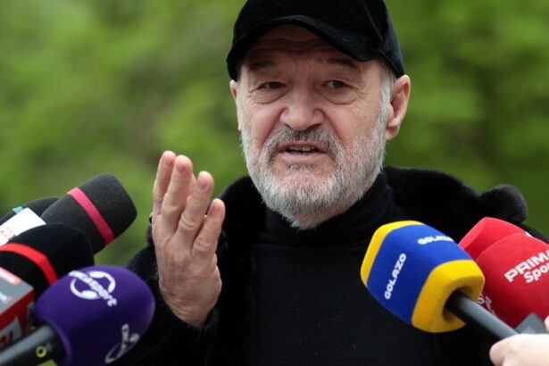 s a aflat cine e fundasul dorit de gigi becali am discutat cu dansul 68b6bdb7c274d