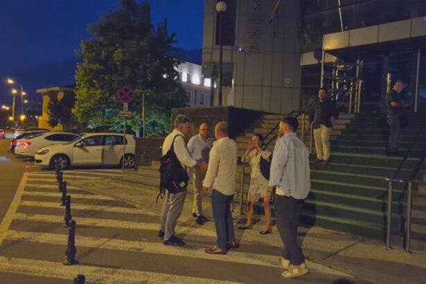 scapa de arest nicoleta pascale din fabrica de mosteniri de la constanta e acum sub control judiciar 68d70bfb911bb