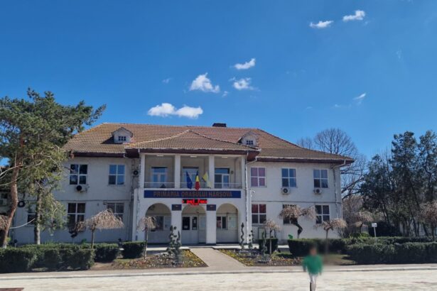 se alege un nou viceprimar al orasului harsova proiectul pe ordinea de zi a sedintei extraordinare de vineri 68c24cedc6a79