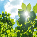 se vindeca cand estimeaza onu ca ar urma sa se refaca stratul de ozon 68c913976d871