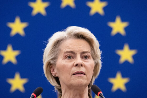 sefa comisiei europene avertizeaza dupa incidentul dronei rusesti in romania e o amenintare grava la adresa securitatii regionale 68c70b2f10c1b