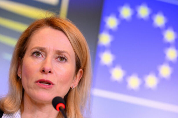sefa diplomatiei ue reactioneaza la incalcarea spatiului aerian romanesc de catre drona rusa 68c6e7dbef1ba