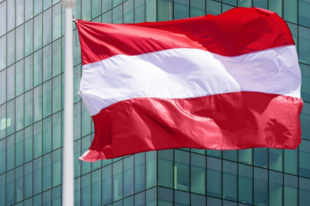 sindicatele din austria renunta la cresteri salariale mai mari motivul pentru care au luat aceasta decizie 68d2cca217388
