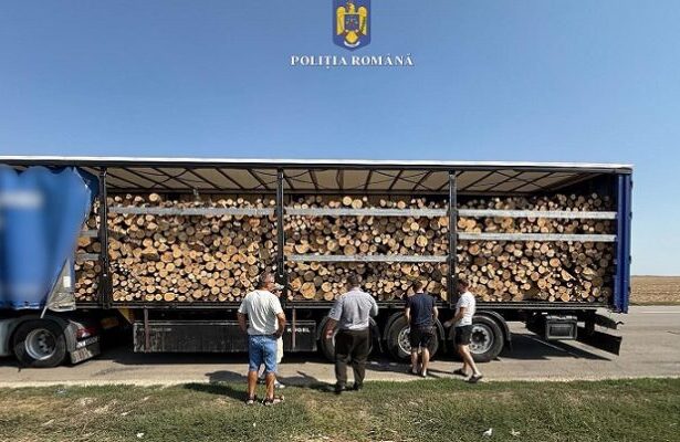 soferul unui tir incarcat cu material lemnos depistat in trafic cu mai multe nereguli 68b9a15490bee
