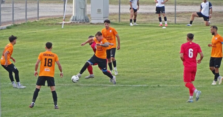 soimii din cernavoda joaca vineri in fieful liderului seriei a 3 a din liga a 3 a 68c321bca56b9