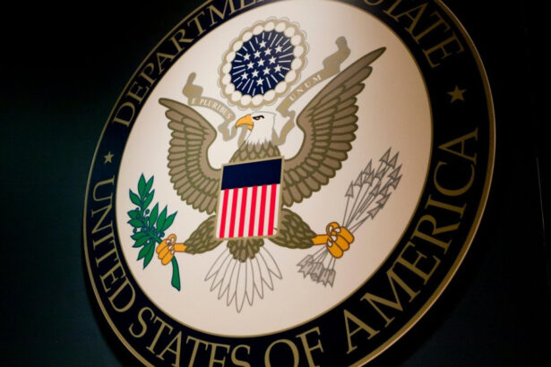 sua opresc colaborarea cu tarile europene pentru combaterea dezinformarii provenite din state ostile precum rusia china si iran ft 68bfbca35801b