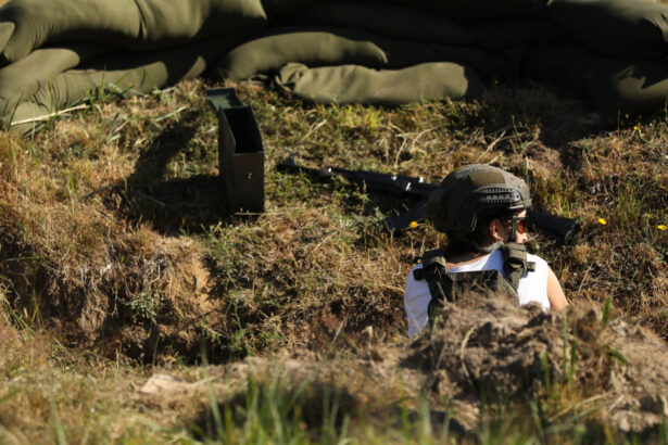 sua taie finantarea unor programe de asistenta militara pentru flancul estic al nato cand se vor termina banii de la pentagon ft 68b9dca066a33