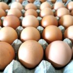 test de cultura generala care este diferenta dintre ouale albe si ouale maro 68c431639989b