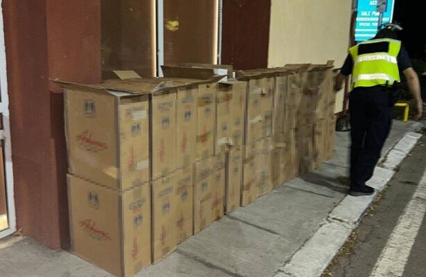 tigari in valoare de peste 1 milion de lei descoperite de politistii de frontiera constanteni 68b988bb14989