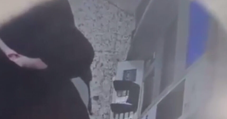 trei barbati si o femeie trimisi in judecata dupa ce au torturat un barbat pentru a i afla pin ul cardului victima a murit la spital 68c484174da4e