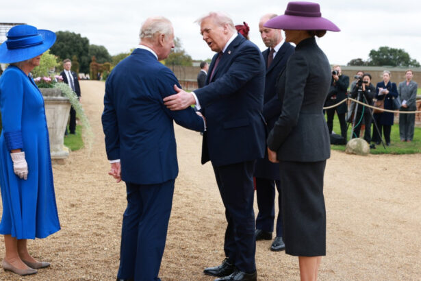 un steag o sabie si o brosa de lux cadourile schimbate intre membrii familiei regale si familia trump cu ocazia vizitei la windsor 68caee3434485