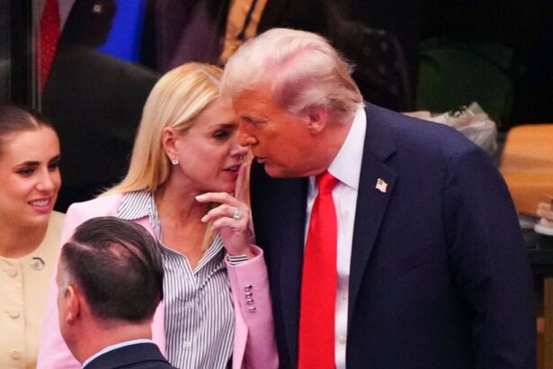 video cum a fost surprins donald trump in prim plan dupa mingea de meci castigata de alcaraz in finala us open 2025 68be676be78de