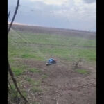 video cum ajuta cultivatorii de lalele din olanda apararea ucrainenilor in fata dronelor sunt foarte rezistente 68ce328d3ae14
