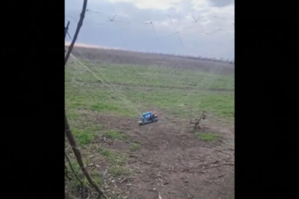 video cum ajuta cultivatorii de lalele din olanda apararea ucrainenilor in fata dronelor sunt foarte rezistente 68ce328d3ae14