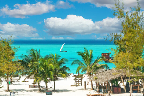 video destinatiile exotice oportunitate de afaceri pentru romani tot mai multi cumpara locuinte in dubai si zanzibar 68d698f3dbbd9
