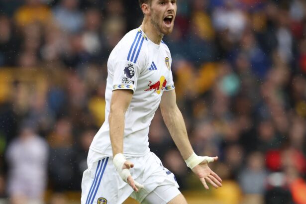 video exclusiv el e claudiu niculescu din premier league gol magistral la vinclu din lovitura libera in wolverhampton leeds united live pe voyo 68ced7a16d143