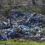 video ministra mediului despre gunoaiele aruncate pe camp daca mai aud de o campanie de reciclare cu flyere pe hartie o sa innebunesc 68dc2d7bd9832