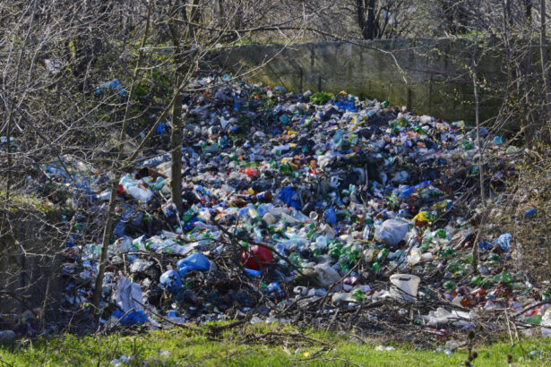 video ministra mediului despre gunoaiele aruncate pe camp daca mai aud de o campanie de reciclare cu flyere pe hartie o sa innebunesc 68dc2d7bd9832