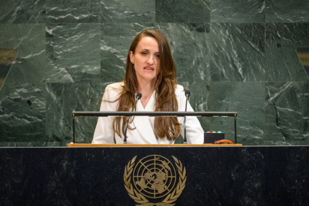 video oana toiu la adunarea generala a onu federatia rusa incearca sa submineze dreptul moldovenilor de a si decide viitorul 68d94b8d5074f