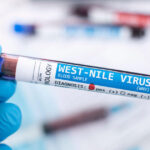 video restrictii la donarea de sange in judetele cu cazuri confirmate de west nile ce trebuie sa stie donatorii 68bbf67d1029e