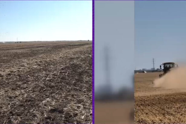 video seceta pedologica extrema in sudul tarii culturile de toamna nu pot rasari iar fermierii isi distrug utilajele in solul uscat 68d29411d629f