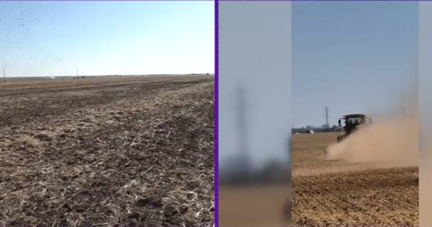 video seceta pedologica extrema in sudul tarii culturile de toamna nu pot rasari iar fermierii isi distrug utilajele in solul uscat 68d29411d629f