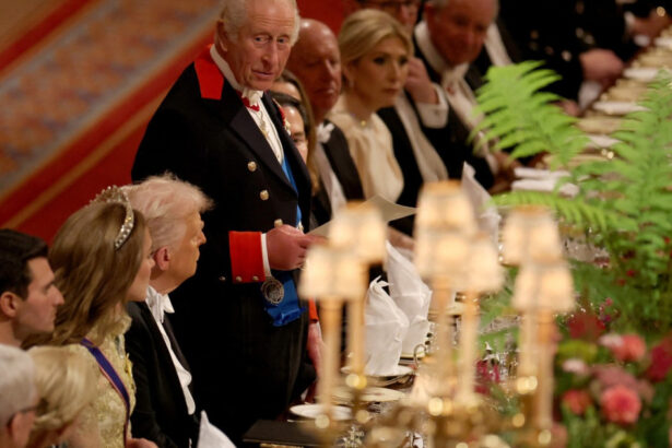 video tirania ameninta din nou europa noi si aliatii nostri suntem uniti in sprijinul ucrainei i a amintit regele charles lui trump 68cb9df90de33