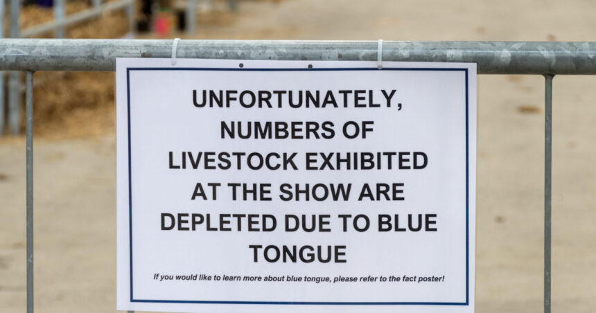 alerta epidemiologica in gorj focar de boala limbii albastre la bovine virusul se extinde in europa anunta expertii veterinari 68dd515ca941d