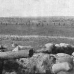 ambasadorul francez la bucuresti rusia hartuia romania pentru a o face sa intre in razboi fara insa a i acorda garantiile cele mai indispensabile 68f69f1c2ca77
